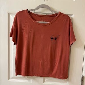 AEO Soft and Sexy cropped t shirt